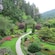 Walking paths winding through a Japanese garden